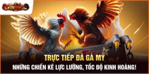 Những Chiến Kê Lực Lưỡng, Tốc Độ Kinh Hoàng!
