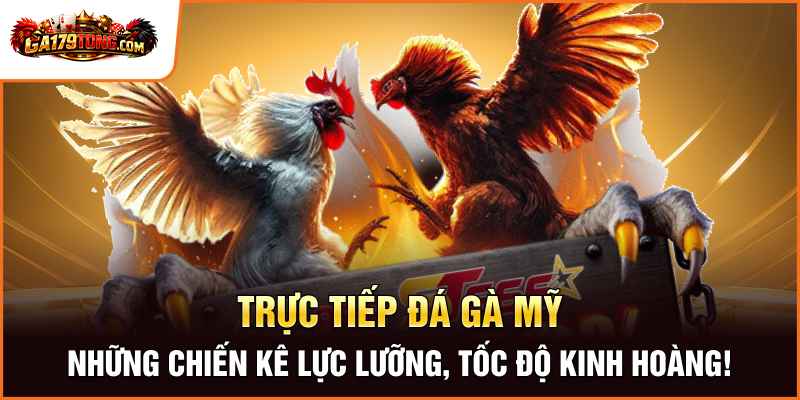 Trực Tiếp Đá Gà Mỹ GA179 - Hấp Dẫn Với Những Chiến Kê Tốc Độ Cao 1 Những Chiến Kê Lực Lưỡng, Tốc Độ Kinh Hoàng!