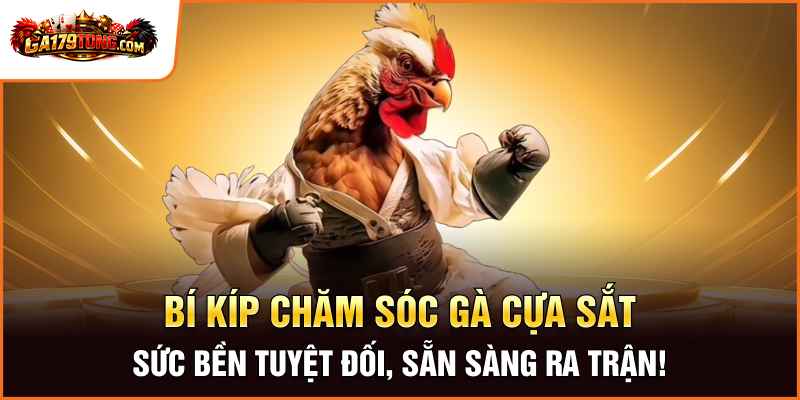 Cách Nuôi Gà Đá Cựa Sắt Chuẩn Khoa Học Từ Sàn Gà179 2 Bí Kíp Chăm Sóc Gà Cựa Sắt – Sức Bền Tuyệt Đối, Sẵn Sàng Ra Trận!