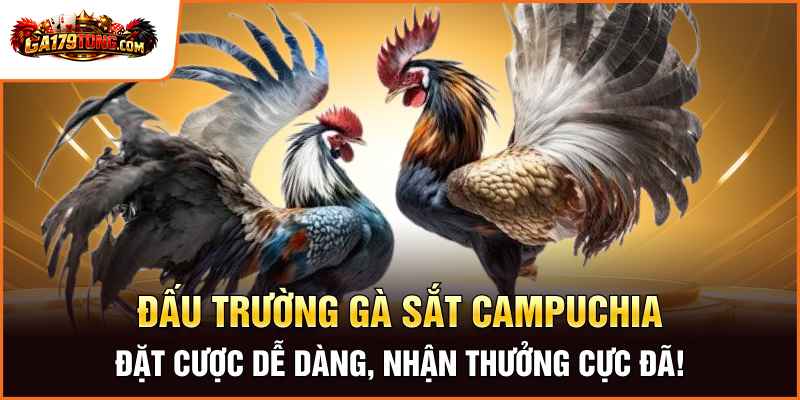 Đá Gà Cựa Sắt Campuchia - Cuộc Chiến Của Những Thần Kê 2 Đấu Trường Gà Sắt Campuchia – Đặt Cược Dễ Dàng, Nhận Thưởng Cực Đã!